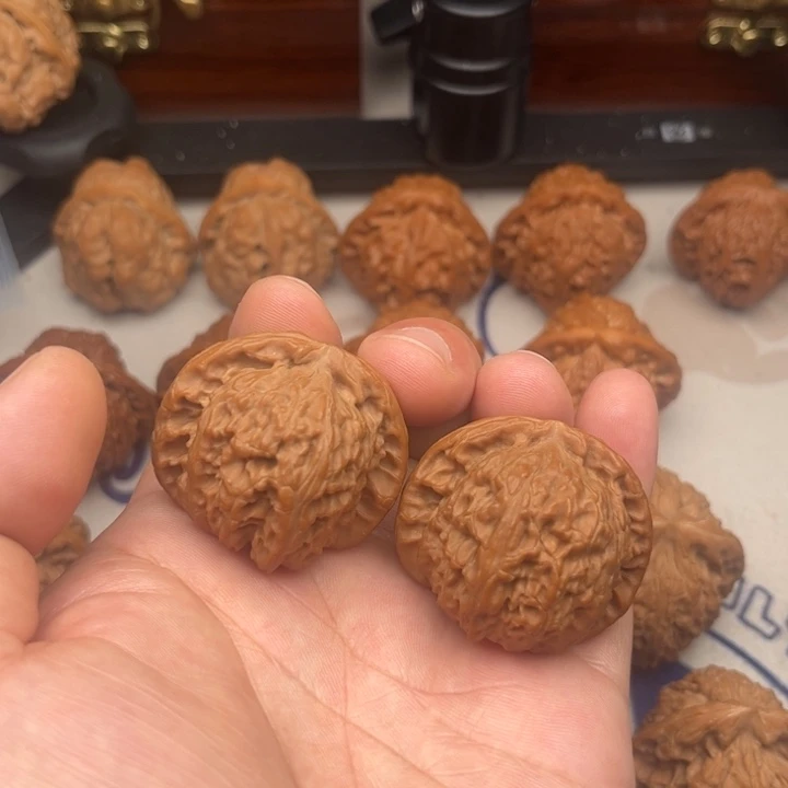 39尺寸全品无瑕疵白狮子