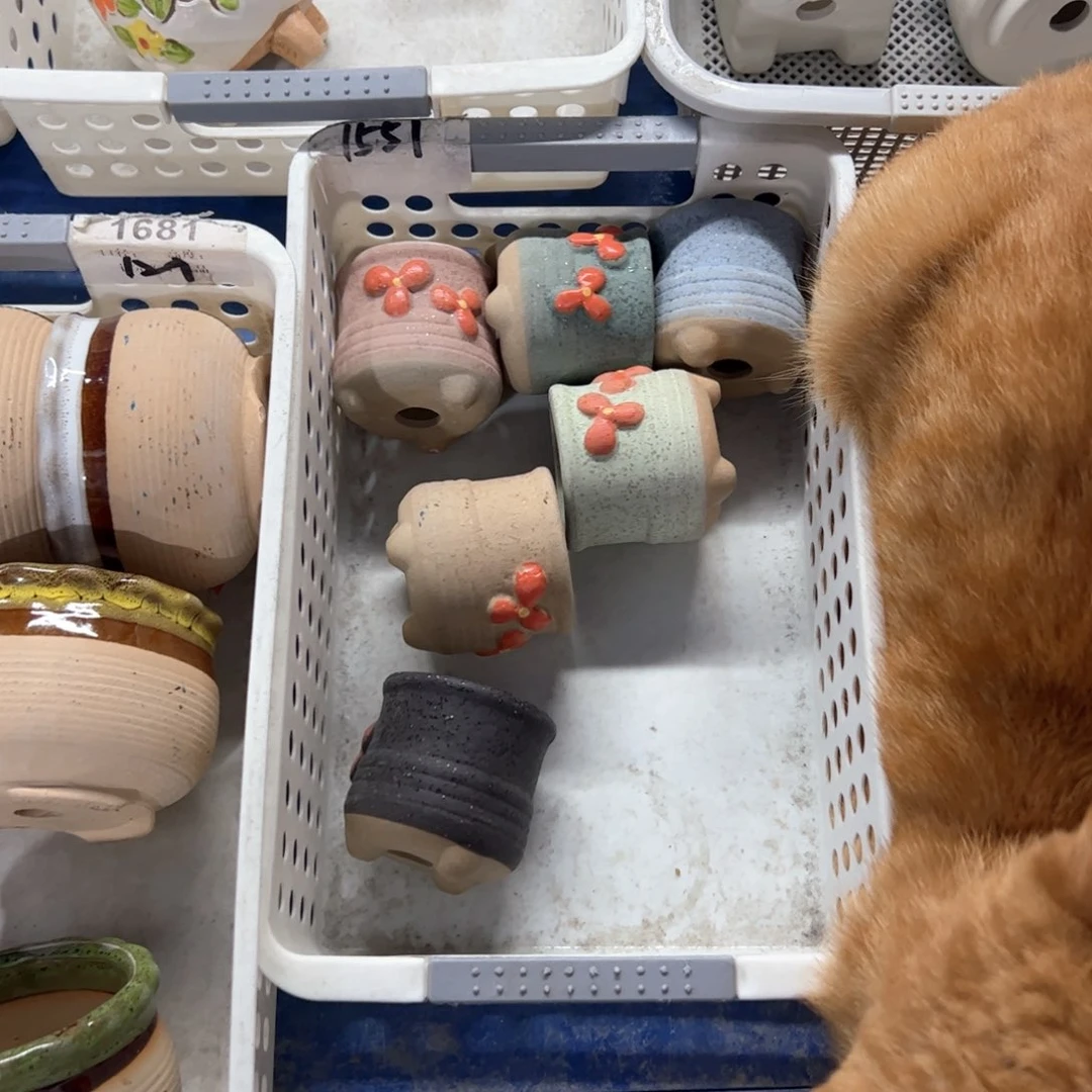 陶瓷欢迎光临@@1551