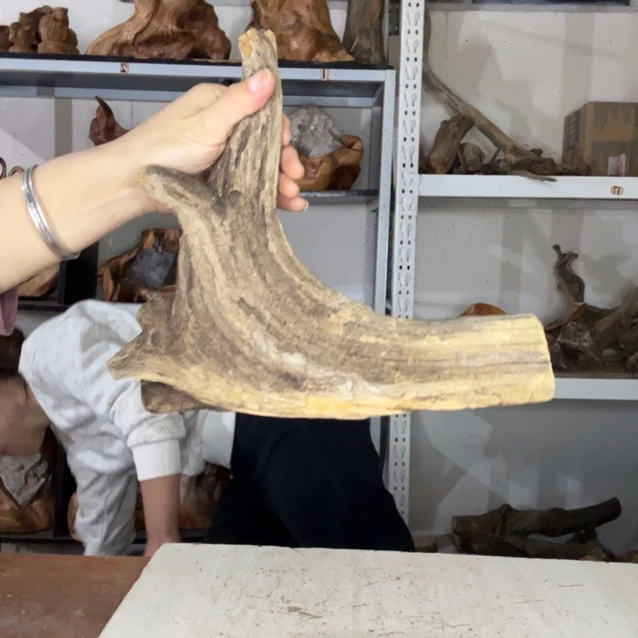 心***定木太行崖柏摆件摆件