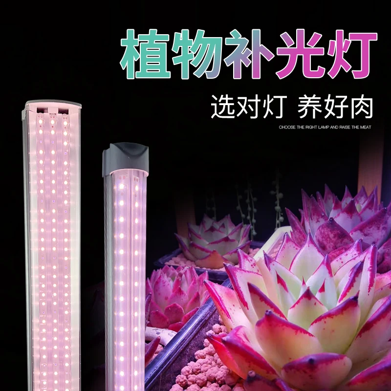 红太氧全光谱植物灯生长补光灯仿太阳光家用室内多肉上色补光灯