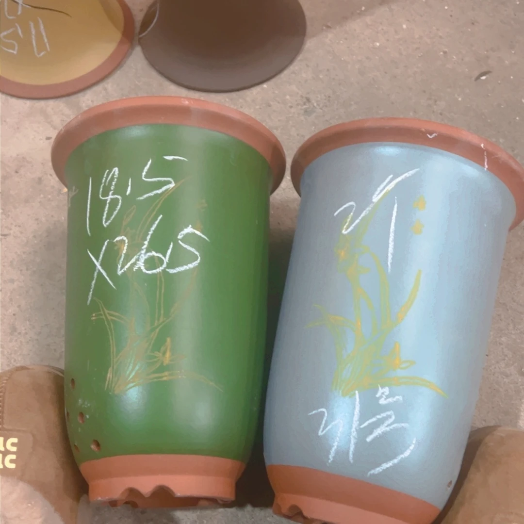 紫砂31……………………………………