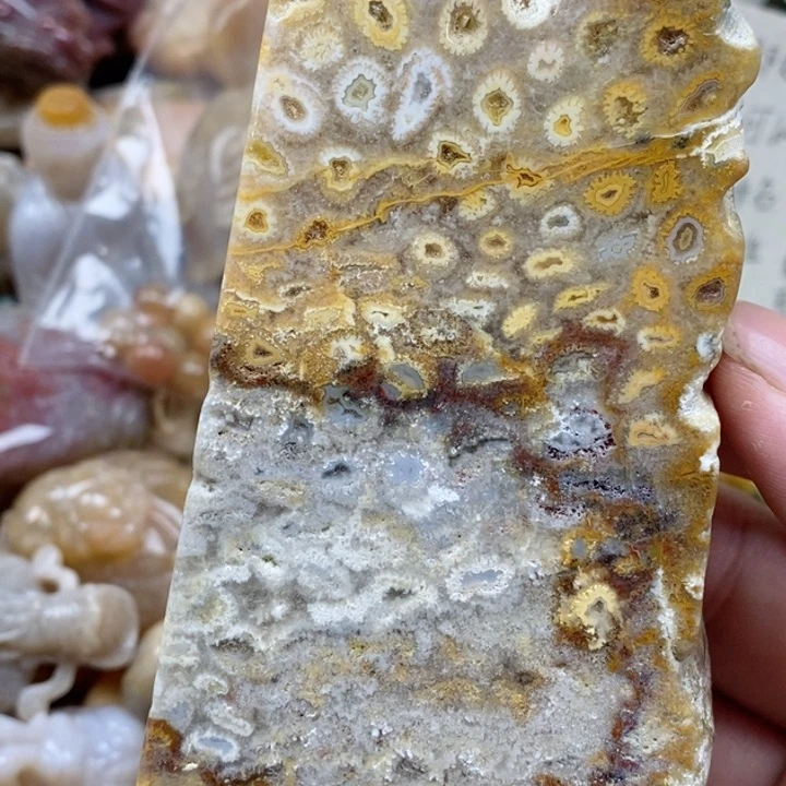 硅化珊瑚(珊瑚玉)未镶嵌颈饰