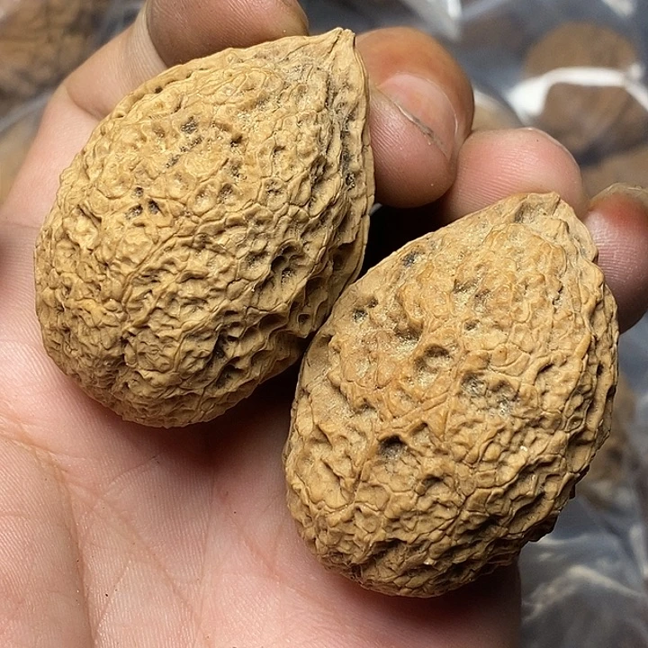 文玩核桃把件云南铁核桃51号40mm