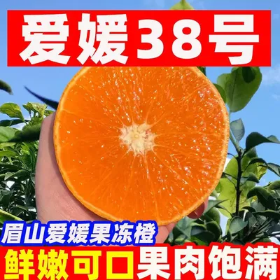 【正宗四川爱媛38号】果冻橙新鲜应季水果孕妇水果坏果包赔