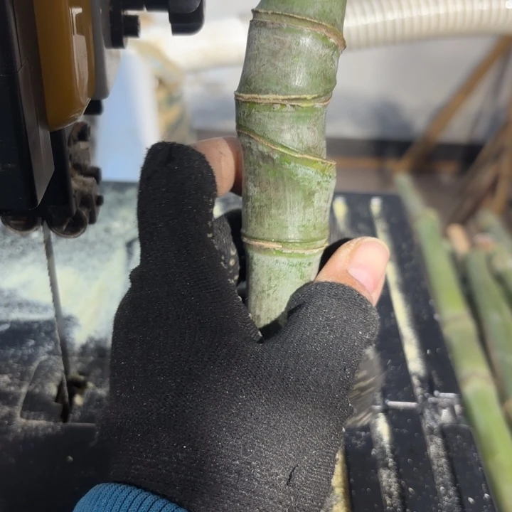 *****实心竹竹竹竹竹竹竹竹竹z