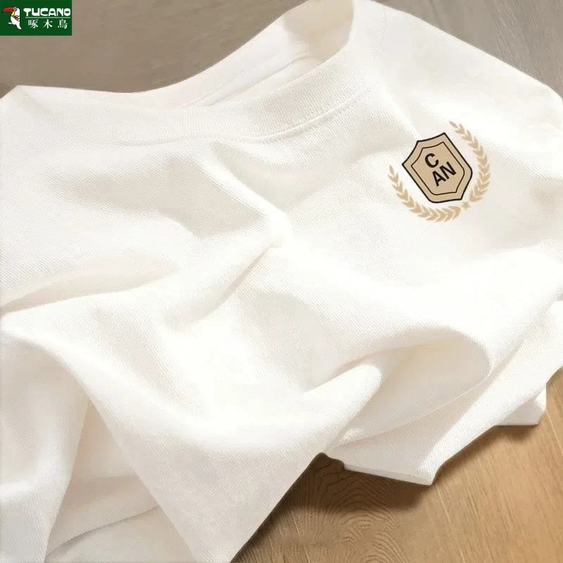 啄木鸟短袖t恤男士2025夏季新款男潮流时尚百搭宽松休闲青年半袖