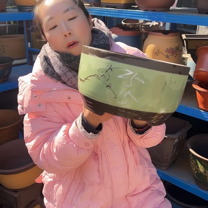 25绿球盆花盆花盆花盆