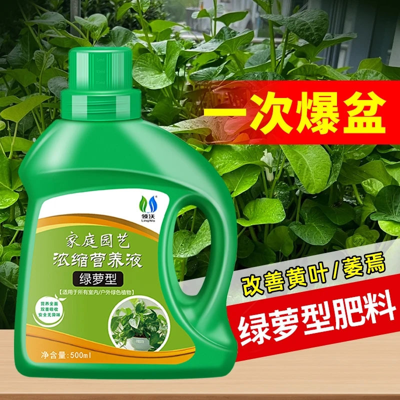 绿萝肥料营养液专用花卉绿植用浓缩液体氮磷钾花肥家用盆栽植物