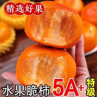 巧克力脆柿脆甜冰糖心新鲜应季硬柿子孕妇可食产地直发