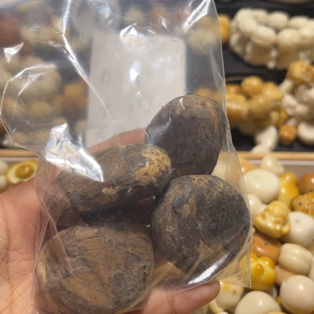 菩提根/象牙果吊坠