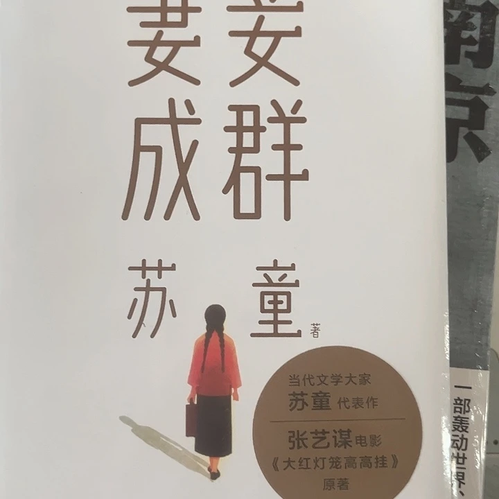 妻妾成群全新精装