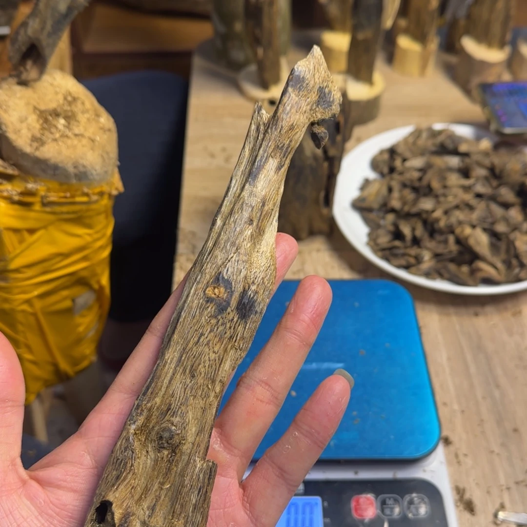 沉香碎屑沉香绿棋楠沉香原料虫漏38克