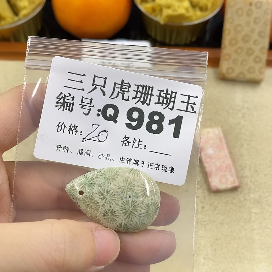 硅化珊瑚（珊瑚玉）1未镶嵌又*?