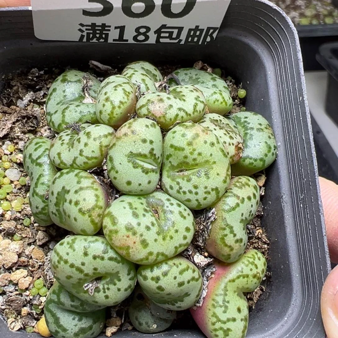 【闪购商品】360……