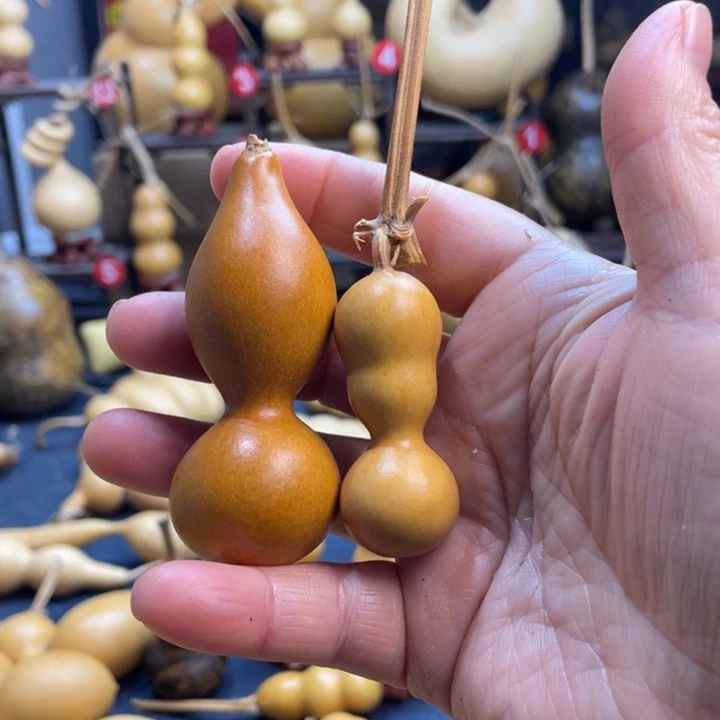 酱***y葫芦河流域是我国的重要河流之一是我国