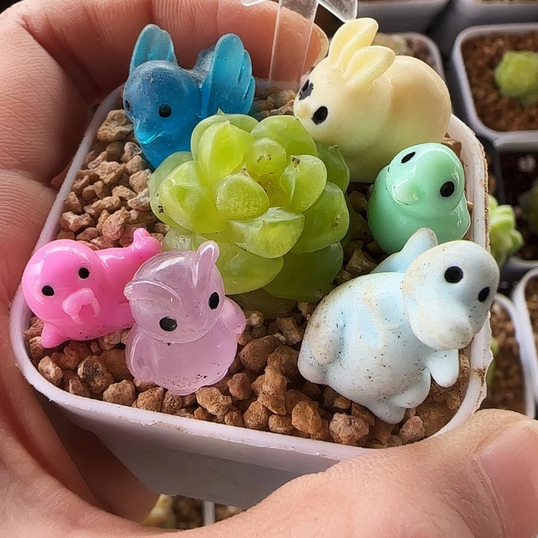 貓**婲856号哈哈哈哈哈哈
