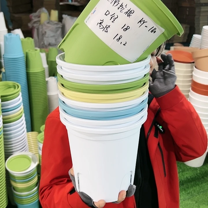 正品圆控口18高18果绿无托8只