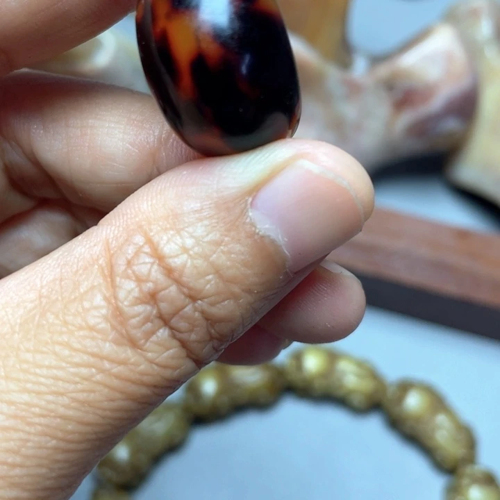 大果紫檀（缅甸花梨）