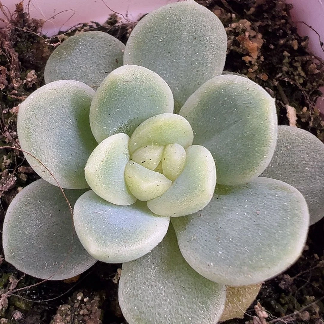 财富密码Ct。原价28