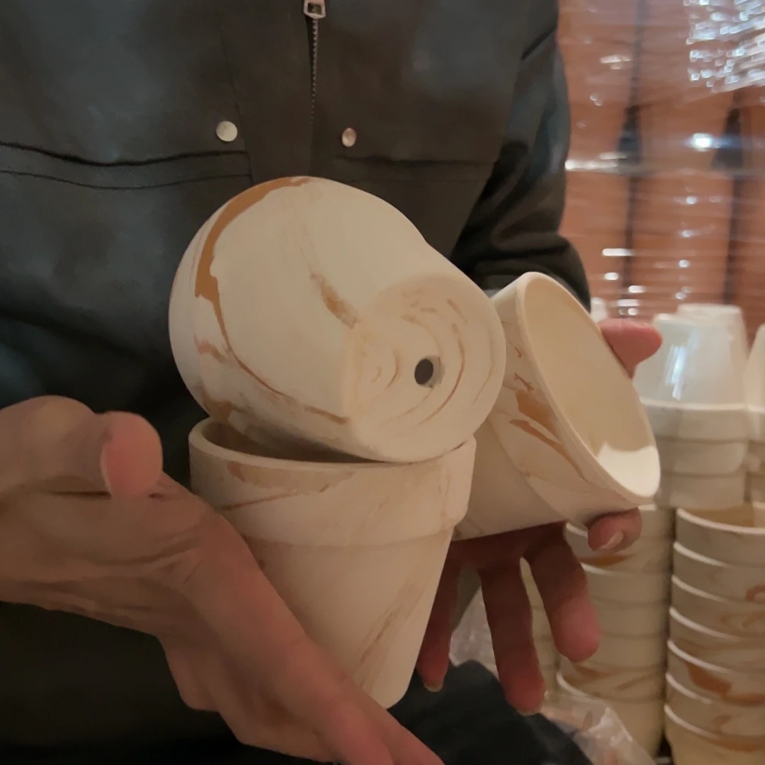 【闪购商品】红陶10口10高三只