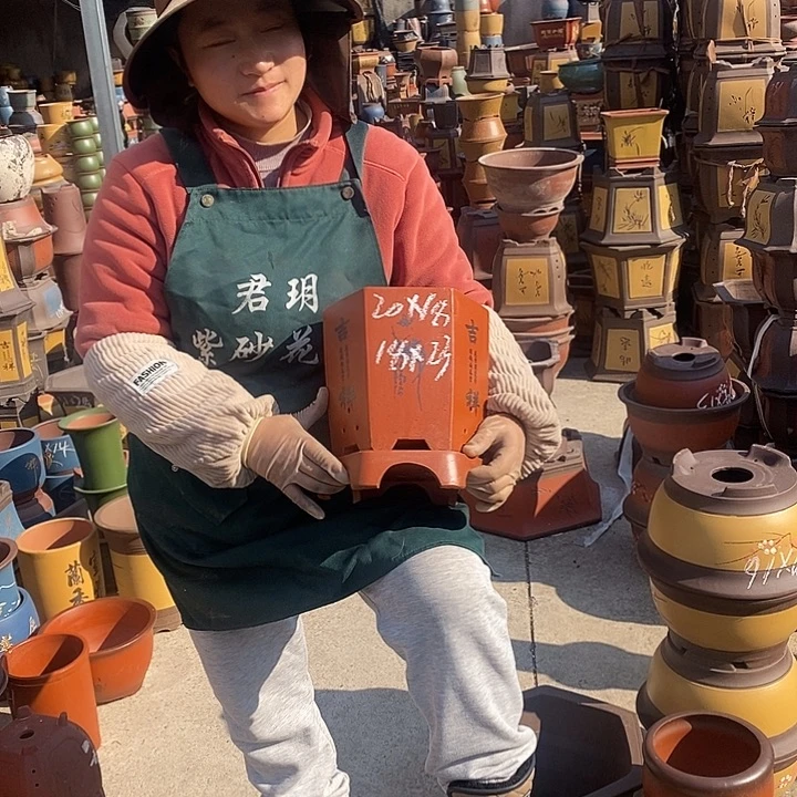 紫砂花盆紫砂花盆