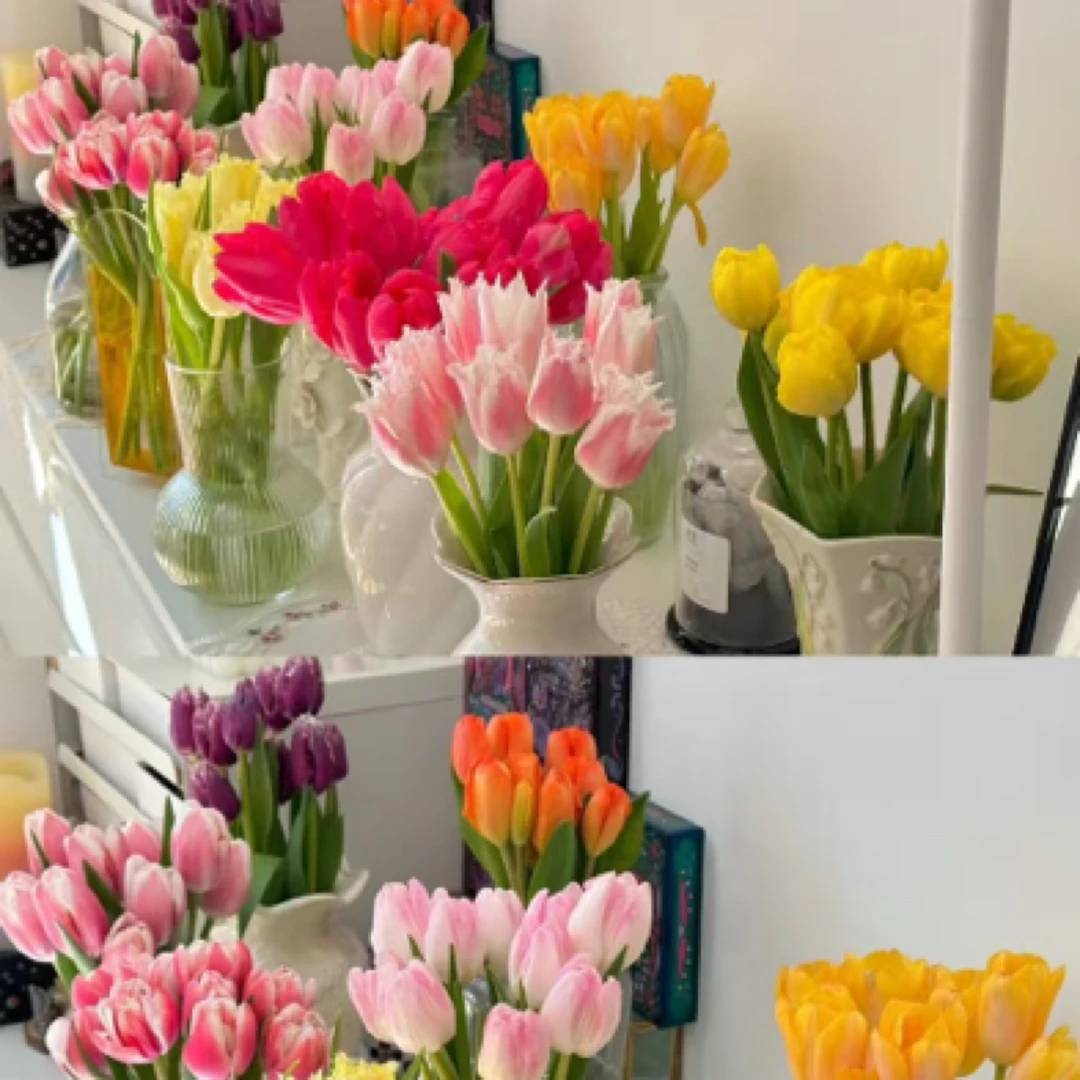 直播福利基地A级郁金香10支