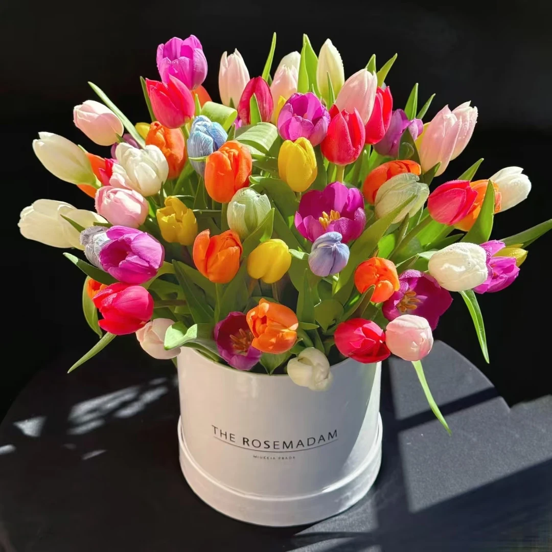 [海盛] 10枝海盛随机色郁金香 小花苞20cm会长个【两单顺丰或京东】