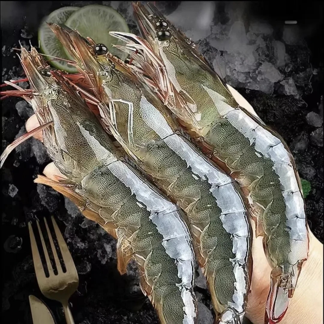 海洋大虾5斤5包(单只13-16cm)活虾速冻顺丰包邮1斤15-16只
