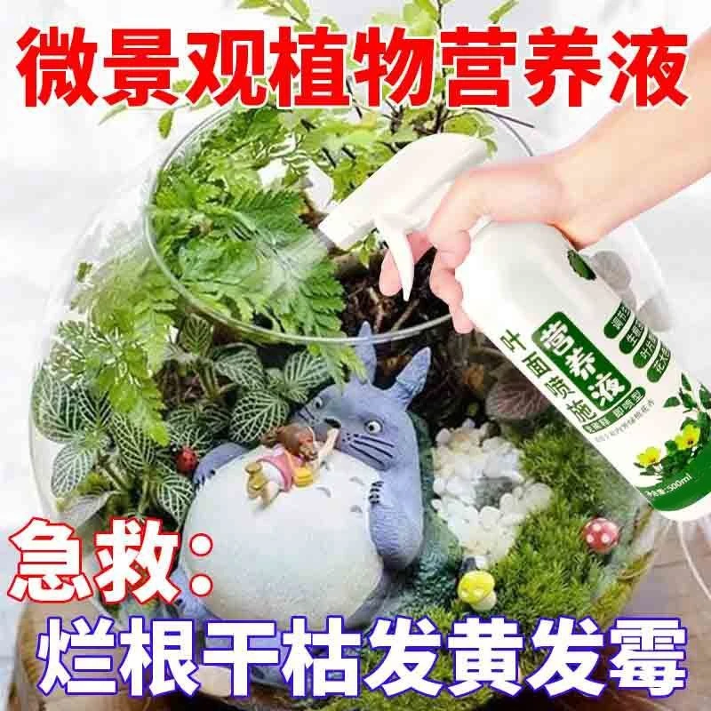 微景观植物营养液迷你植物生态瓶土壤网纹草蕨类黄叶烂根专用肥料