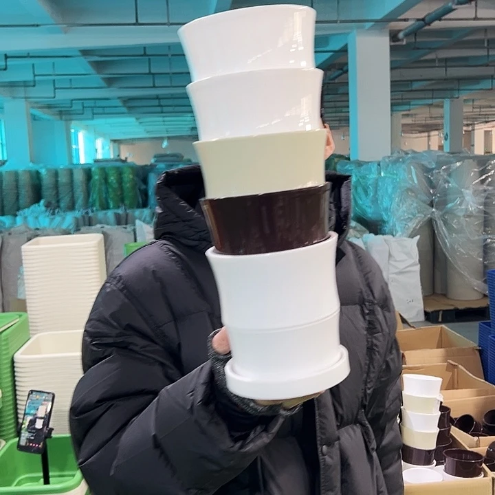 清仓竹节口13.6高14白色5个带托