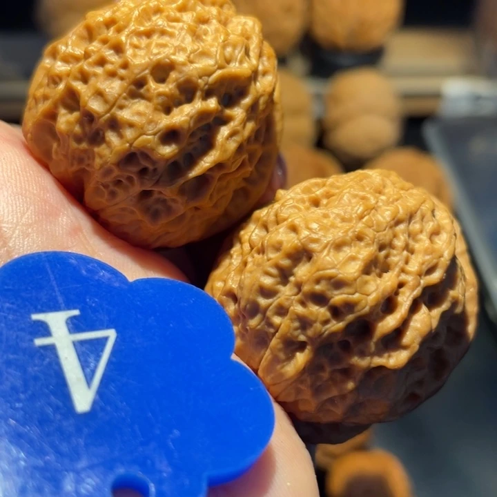 铁狮子头核桃尺寸41