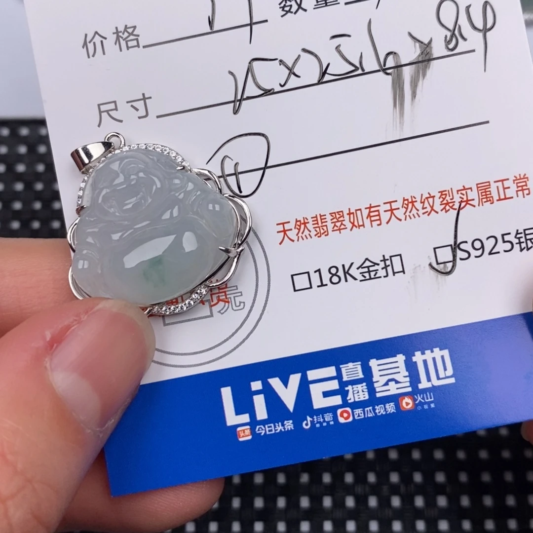 紫***色翡翠银S925镶嵌颈饰
