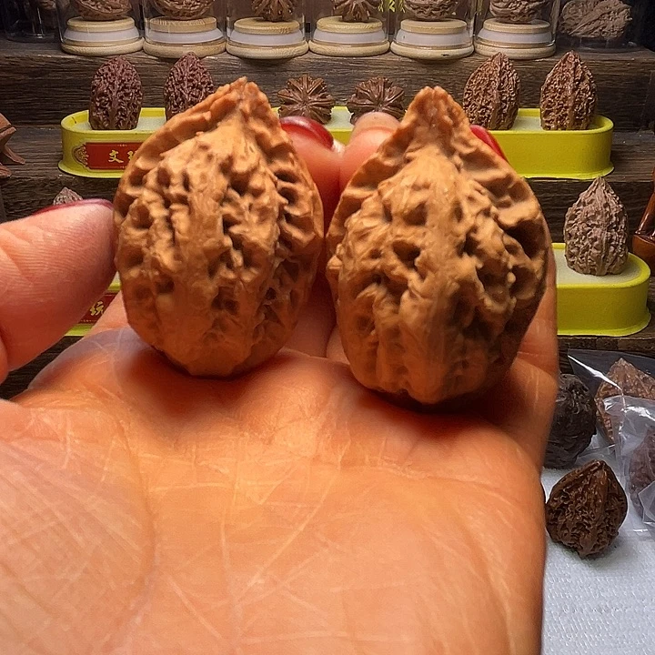 核桃22号车放漏漏漏