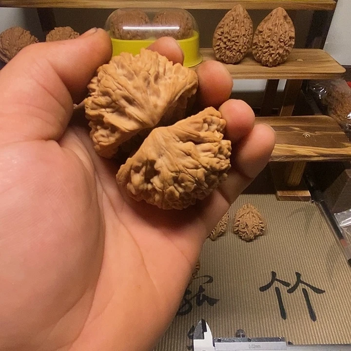 核桃全品无修,同树果。