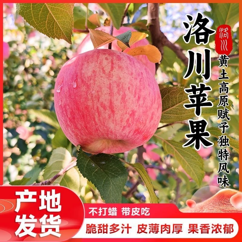 2025头茬新果正宗洛川红富士苹果5/10斤脆甜多汁新鲜水果香甜可口