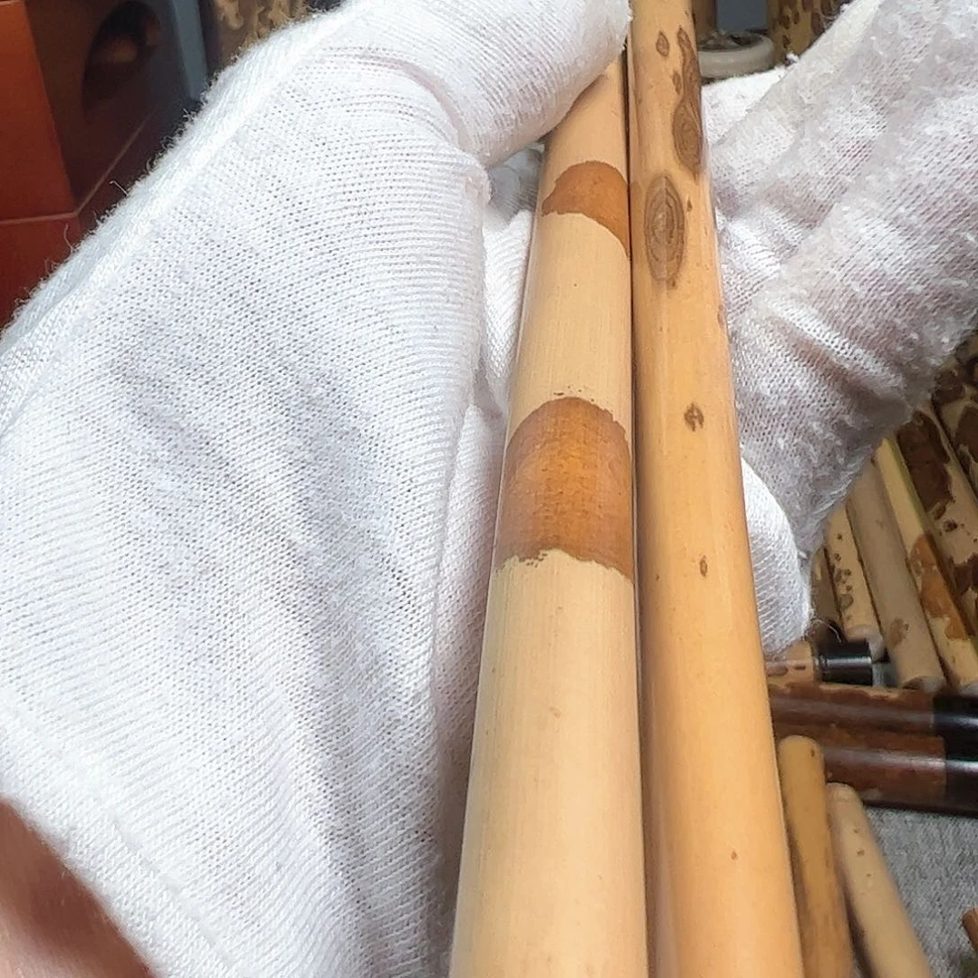 扇子明***.两只毛笔合拍