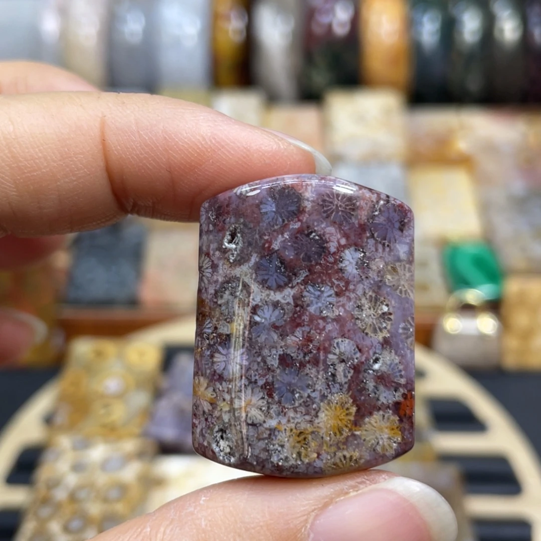 硅化玉未镶嵌颈饰k39