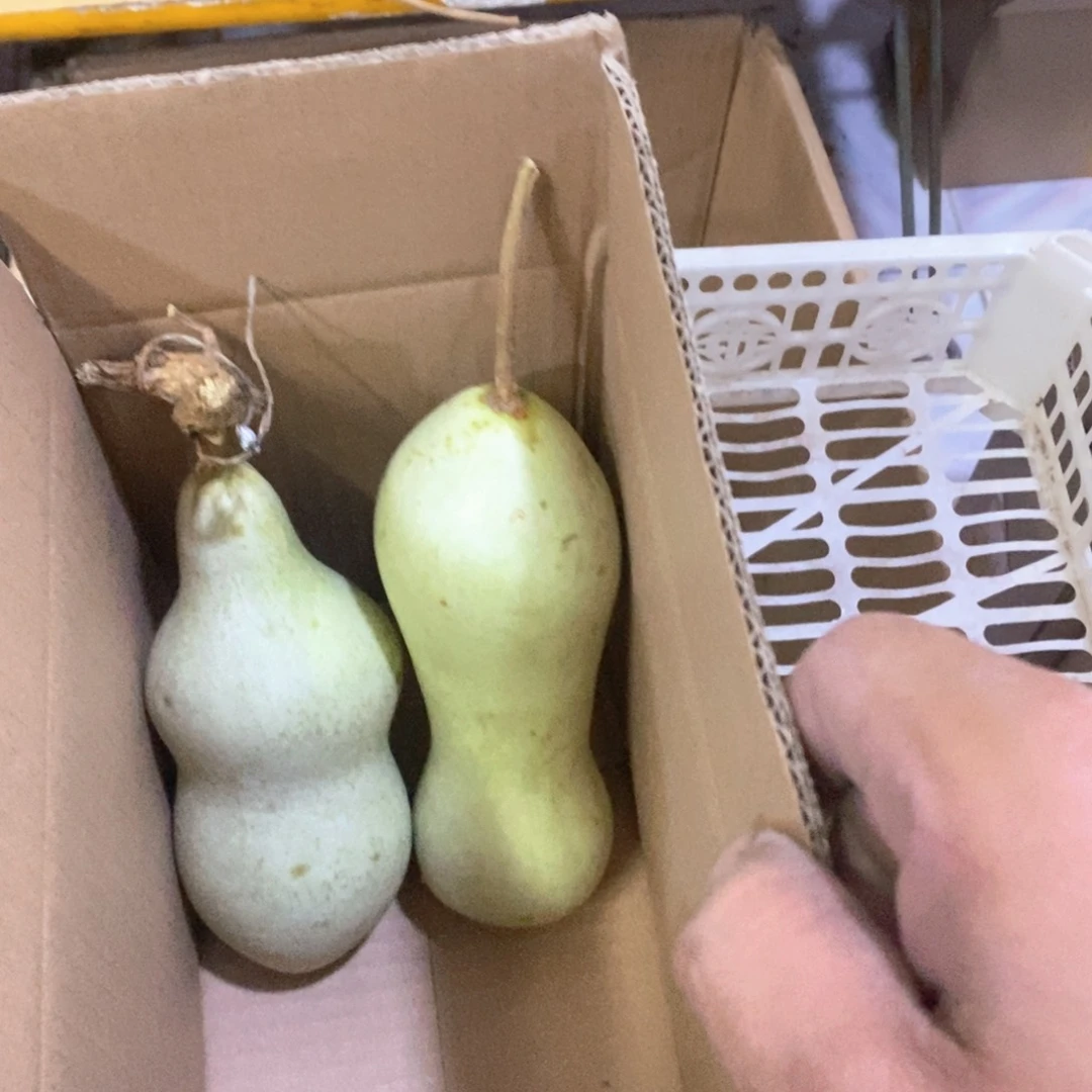 勇**峰文玩葫芦青皮葫芦