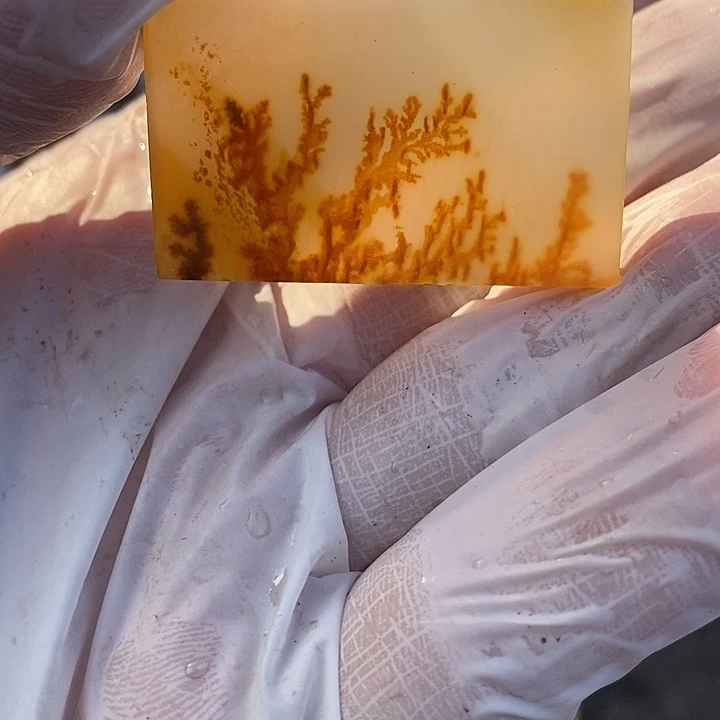 石英质玉（黄龙玉）未镶嵌颈饰