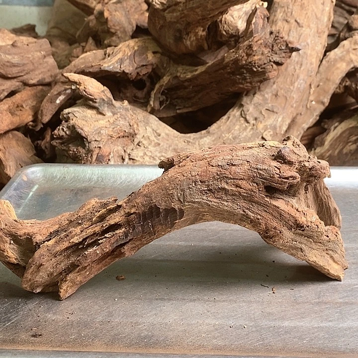 花梨木类风**起海南黄油梨