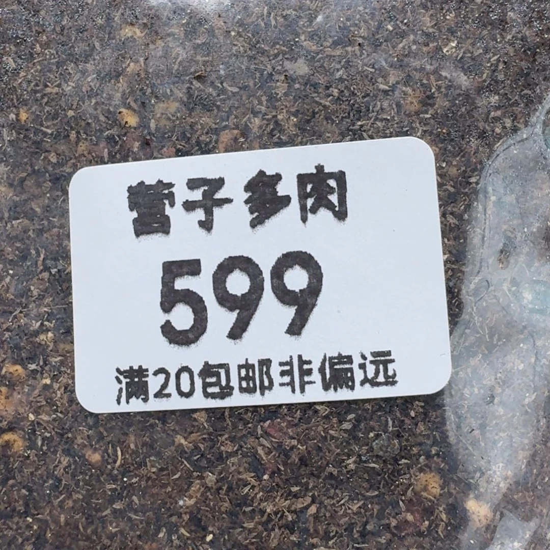 四包肉锥专用888855