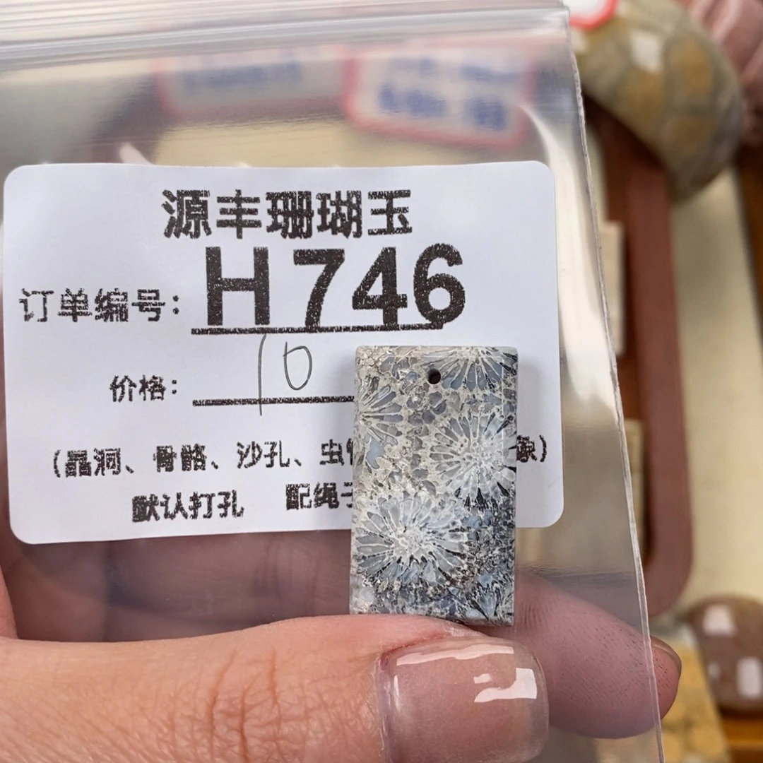 硅化玉颈饰未镶嵌落***星