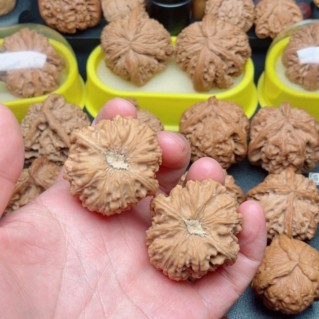 文玩核桃吊坠石膏底39×39×30