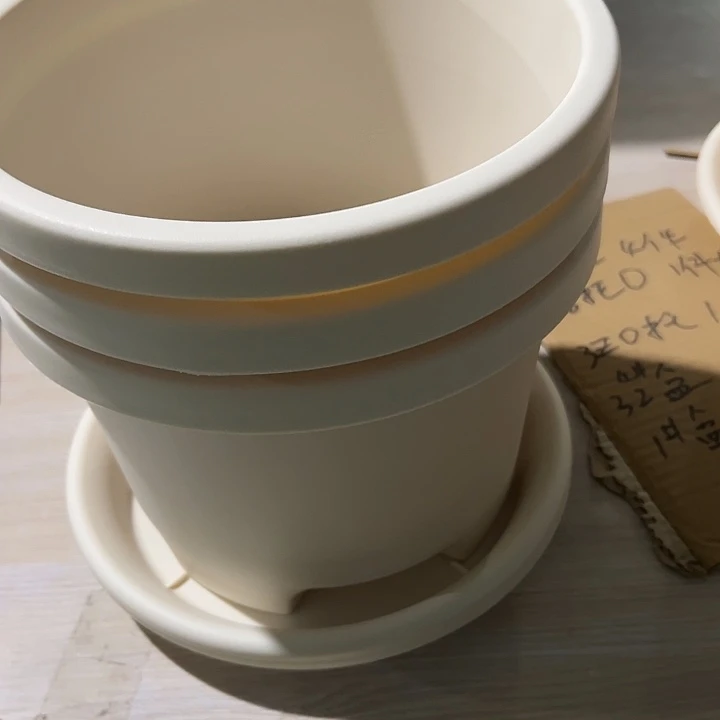 正品米白圆球根带托盘26外径19高3个