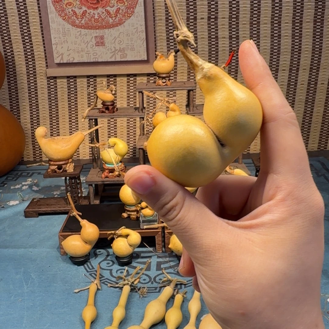 是***.手把蚂蚁弓背贴肚