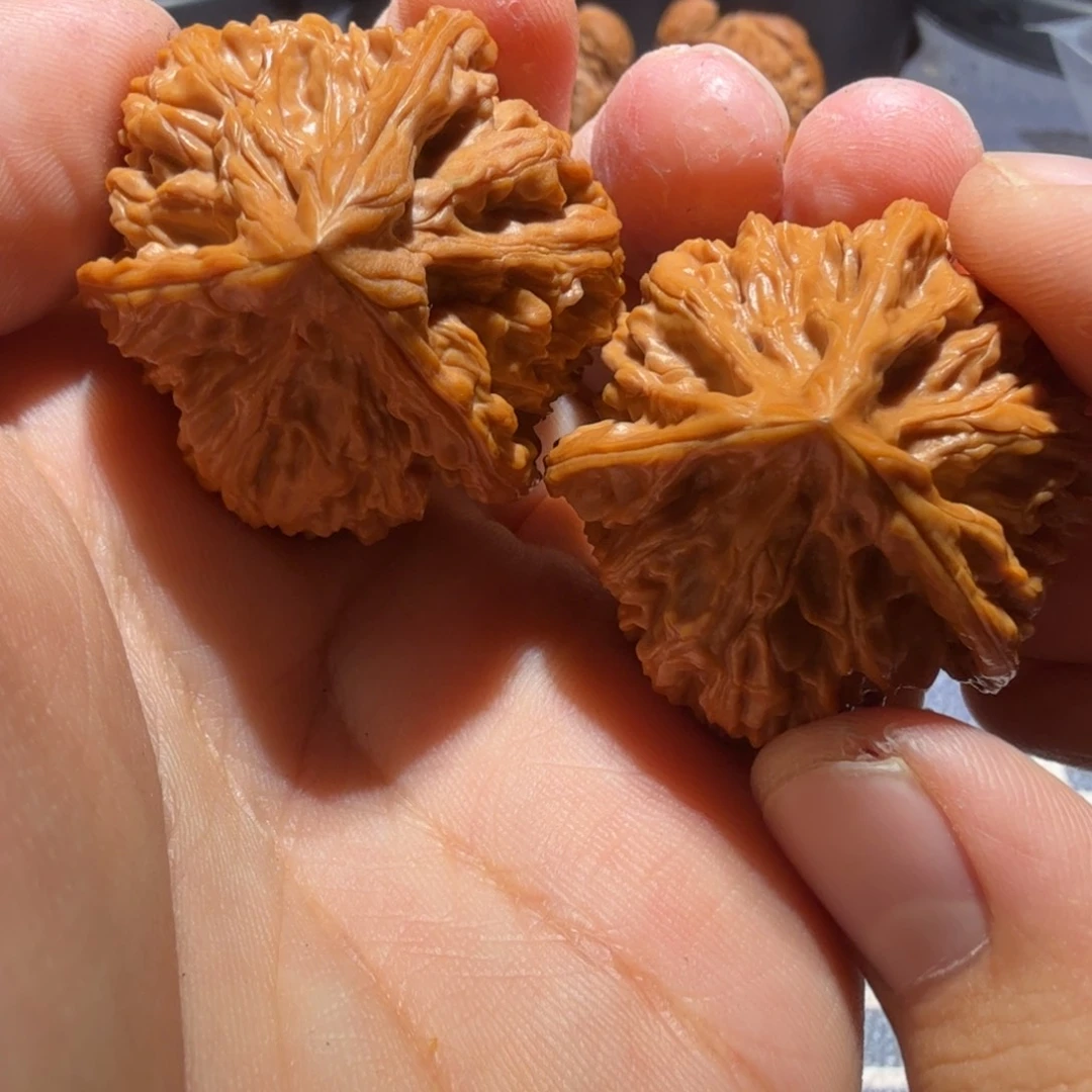 把件文玩核桃御龙