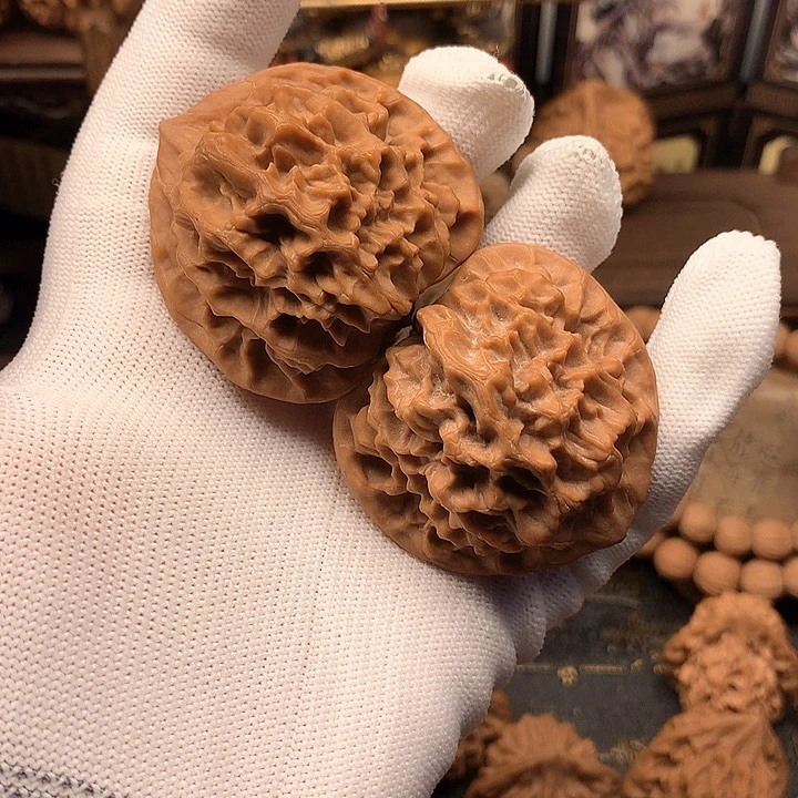 46尺秦岭野生帝王官帽