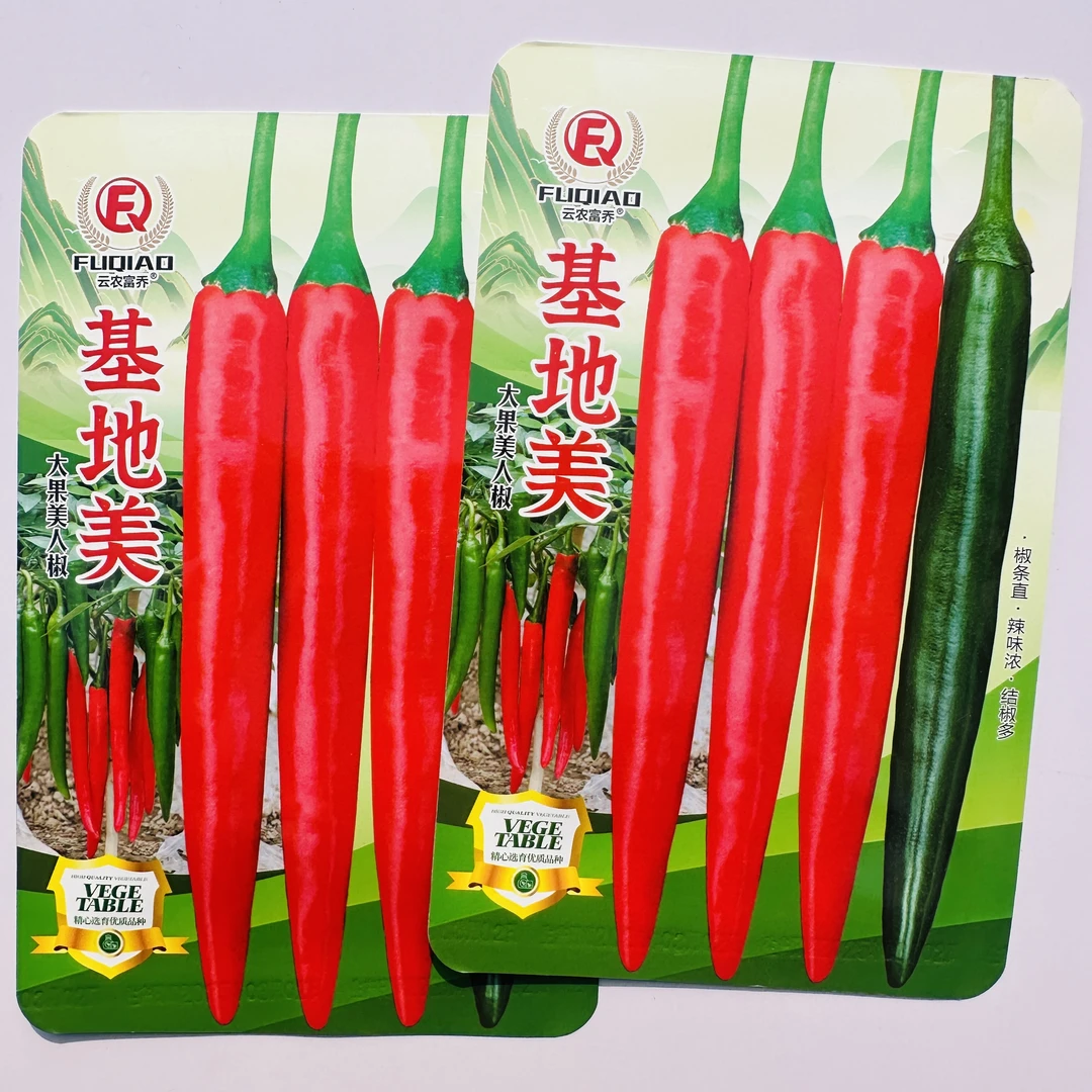 基地美大果美人椒辣椒种子辣味浓抗病高产辣椒种子春季蔬菜种籽