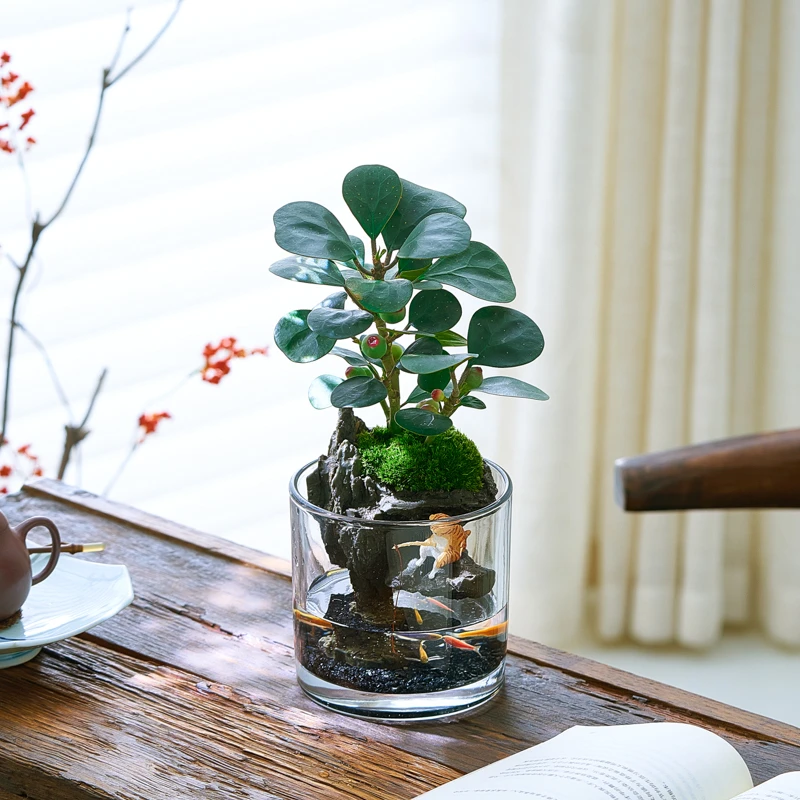 苔藓微景观生态瓶小鱼缸室内办公桌面绿植创意造景植物摆件送礼物