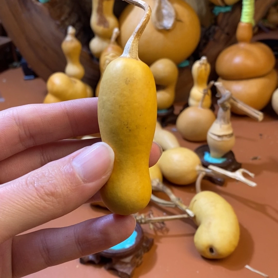 劲***林教练教练教练教练经理